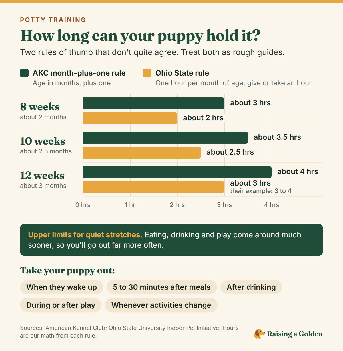 Bar chart comparing the AKC month-plus-one rule and the Ohio State rule for how long a puppy can hold it: about 3 vs 2 hours at 8 weeks, 3.5 vs 2.5 hours at 10 weeks, and 4 vs 3 hours at 12 weeks, plus when to take your puppy out: on waking, 5 to 30 minutes after meals, after drinking, during or after play, and whenever activities change.