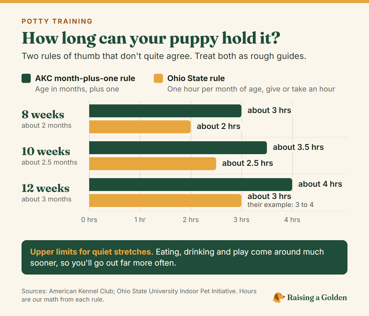 Bar chart of how long a puppy can hold it under the AKC and Ohio State rules: about 3 vs 2 hours at 8 weeks, 3.5 vs 2.5 hours at 10 weeks, and 4 vs 3 hours at 12 weeks. These are upper limits for quiet stretches.