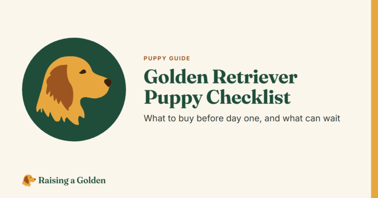Golden retriever puppy checklist: what to buy before day one